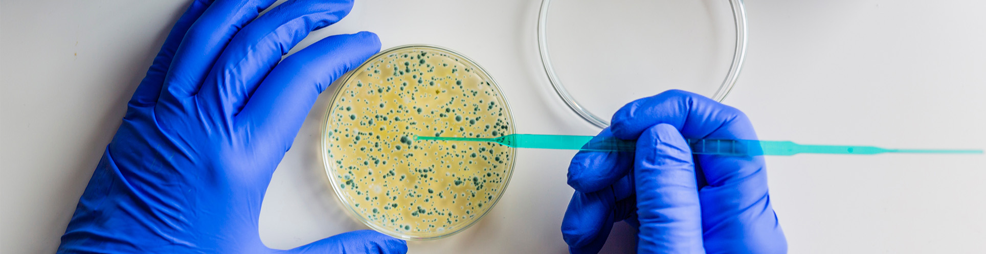 Homepage banner 1 - Lab Supply